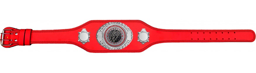 WRESTLING CHAMPIONSHIP BELT-BUD295/S/WRESTGEMS-4 COLOURS
